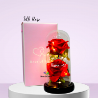 Beauty & the beast LED glass dome