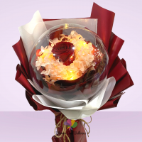 Beauty's Acrylic Dome