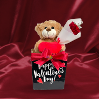 Plush Bear in a box