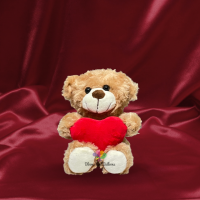 Heart Plush Bear