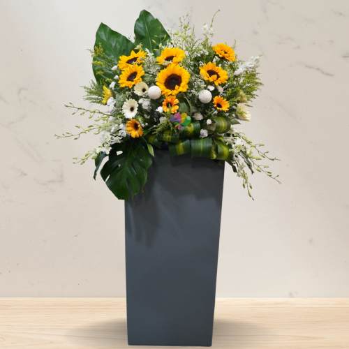 Sunshine blooms