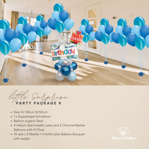 Party package 9
